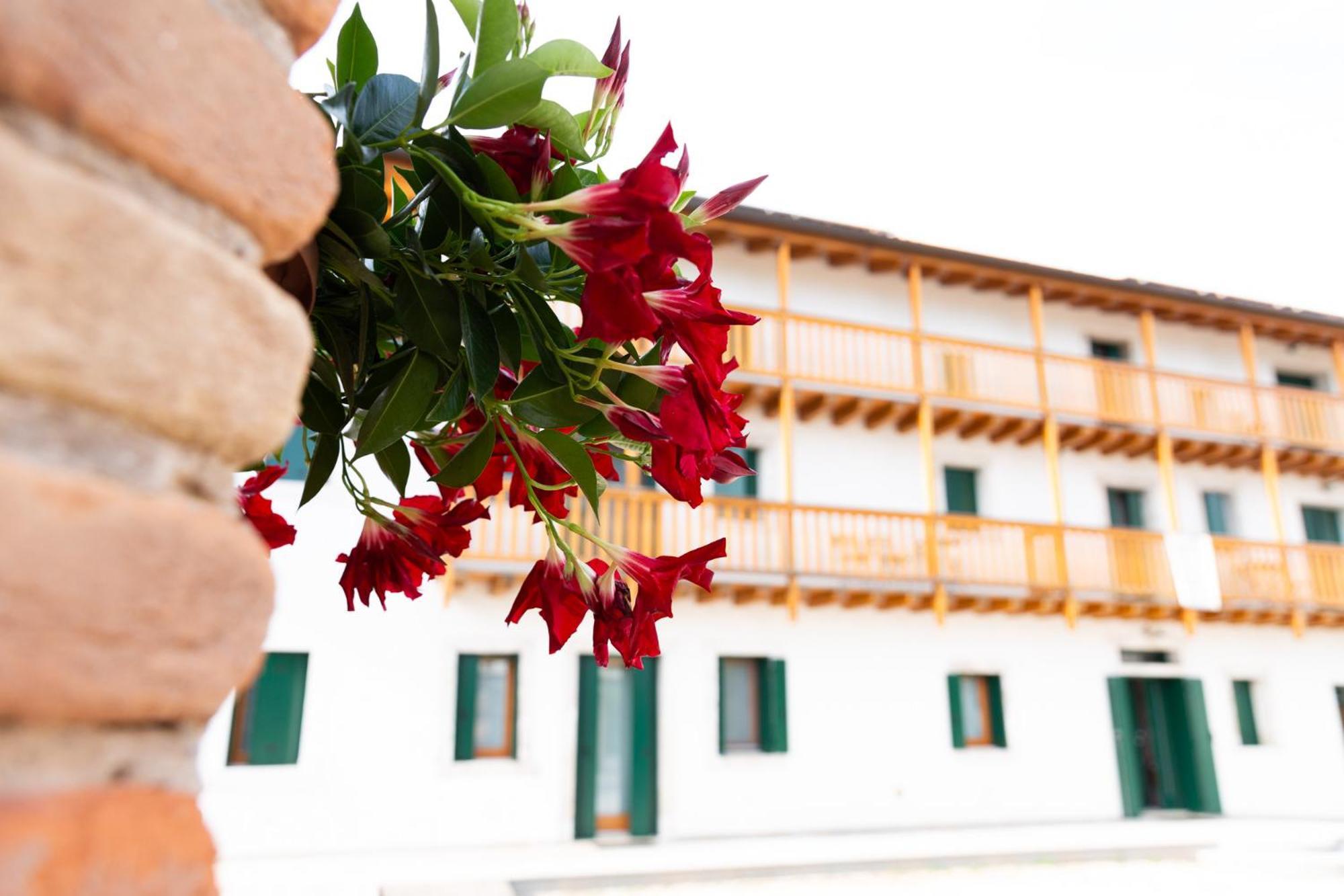 Albergo Diffuso Polcenigo C. Zoldan Exterior photo